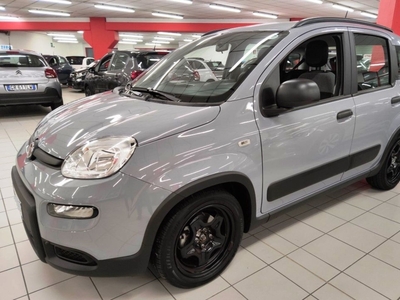 Fiat Panda 1.0 FireFly S&S Hybrid City Cross my 20 usato