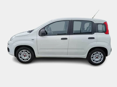 Fiat Panda Benzina Usata