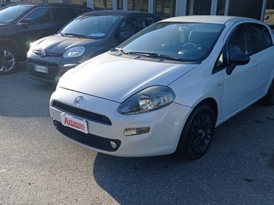 Fiat Punto Evo 1.3MJT75DPF S&S3p.Van Act.2pti usato