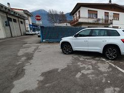 SKODA Kodiaq - 2020