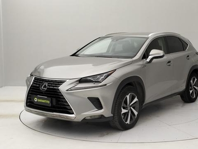 2019 LEXUS NX 300h