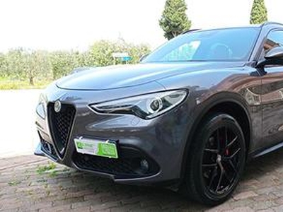 ALFA ROMEO Stelvio 2.2 Turbodiesel 210 CV AT8 Q4