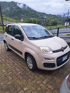 Fiat Panda 2017 - NEOPATENTATI