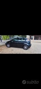 Fiat punto evo