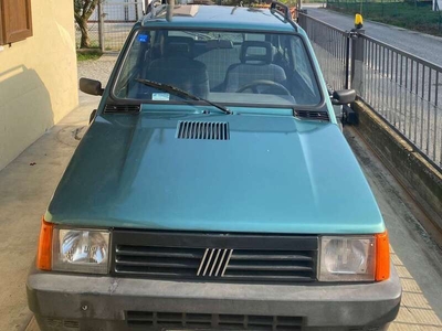 Usato 1996 Fiat Panda 4x4 1.1 CNG_Hybrid 54 CV (4.200 €)