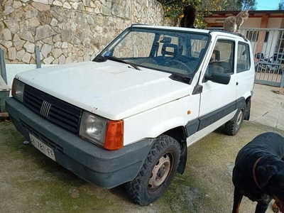 Usato 1998 Fiat Panda 4x4 1.1 LPG_Hybrid 54 CV (4.100 €)