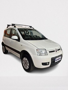 Usato 2011 Fiat Panda 4x4 1.2 Diesel 69 CV (8.900 €)