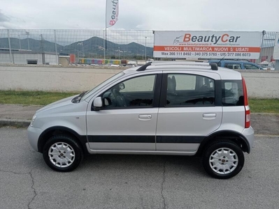 Usato 2013 Fiat Panda 4x4 1.2 Benzin 69 CV (6.000 €)