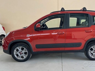 Usato 2013 Fiat Panda 4x4 Diesel (9.900 €)