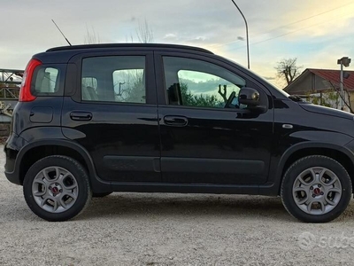 Usato 2014 Fiat Panda 4x4 1.2 Diesel 69 CV (11.000 €)