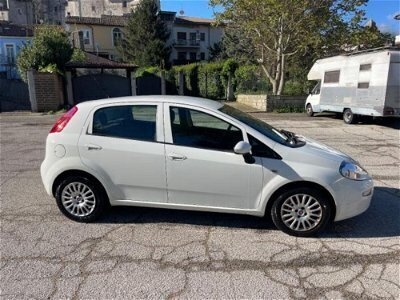 Usato 2017 Fiat Punto Evo 1.2 Diesel 75 CV (5.500 €)
