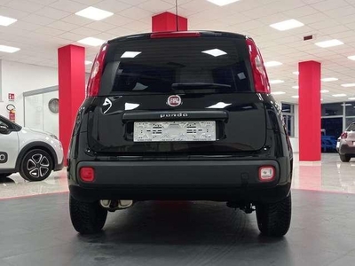 Usato 2019 Fiat Panda 1.2 Benzin 69 CV (10.790 €)