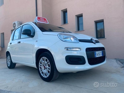 Usato 2019 Fiat Panda 1.2 Benzin 69 CV (9.600 €)