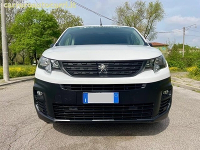Usato 2019 Peugeot Partner Tepee 1.5 Diesel 131 CV (14.700 €)
