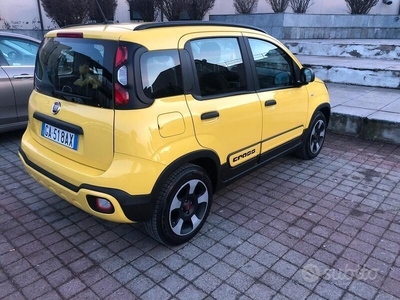 Usato 2020 Fiat Panda Cross LPG_Hybrid (12.000 €)