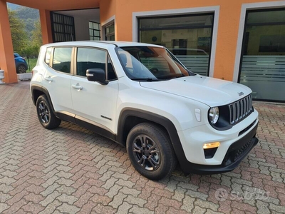 Usato 2023 Jeep Renegade 1.0 Benzin 120 CV (23.900 €)