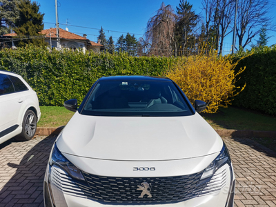 Usato 2023 Peugeot 3008 1.2 Benzin 131 CV (27.500 €)