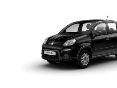 Usato 2024 Fiat Panda El 69 CV (13.950 €)