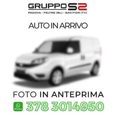 FIAT Doblo Doblò 1.3 MJT PC-TN Cargo Lamierato SX 3 Posti Diesel