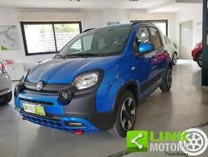 FIAT Panda Cross 1.0 FireFly S&S Hybrid 4x4 Elettronico Elettrica/Benzina