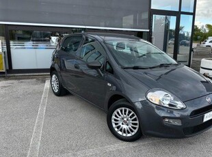 FIAT Punto 1.2 8V 5 porte Street NEO PATENTATO Benzina