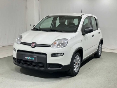 Fiat Panda 1.0