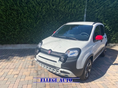 Fiat Panda 1.0