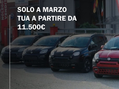 Fiat Panda 1.0 FireFly S&S Hybrid nuovo