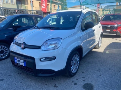 2024 FIAT Panda