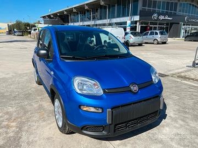 Fiat Panda 1.0 FireFly Hybrid 70Cv km0 -2024