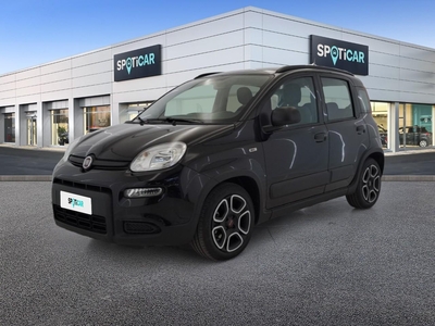 Fiat Panda 1.0 firefly hybrid City Life s&s 70cv 5p.ti