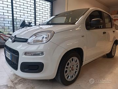 Fiat Panda 1.2 Easy 5P. KM 19000