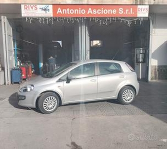 Fiat Punto Evo Punto Evo 1.2 5 porte Active