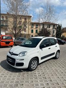 Fiat Panda 1.2 benzina
