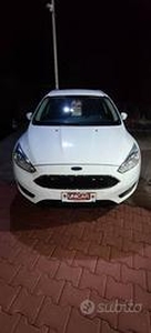 Ford Focus 1.5 tdci Business s&s 95cv