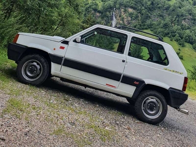 Usato 1991 Fiat Panda 4x4 1.0 Benzin 50 CV (7.000 €)