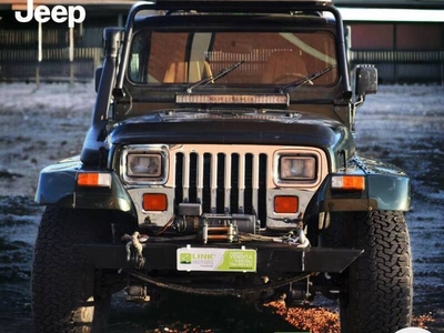 Usato 1996 Jeep Wrangler 4.0 LPG_Hybrid 178 CV (18.000 €)