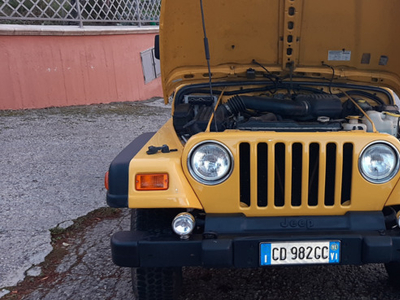Usato 2002 Jeep Wrangler 2.5 Benzin 118 CV (20.000 €)
