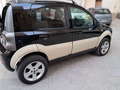 Usato 2007 Fiat Panda 4x4 1.2 Diesel 69 CV (7.000 €)