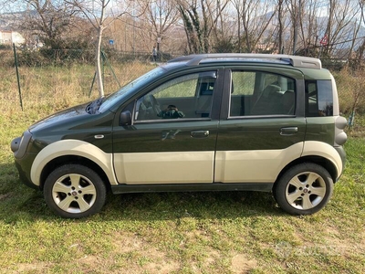 Usato 2008 Fiat Panda Cross 1.3 Diesel (9.900 €)