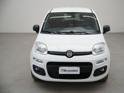 Usato 2019 Fiat Panda 1.2 LPG_Hybrid 69 CV (8.935 €)