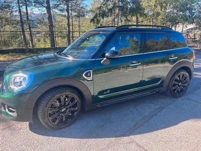 Usato 2019 Mini Countryman Diesel (31.000 €)