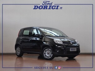 Fiat Panda 1.0