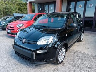 Fiat Panda 1.0 70CV HYBRID 2024 NO VINCOLI