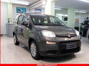 FIAT Panda 1.0 FireFly S&S Hybrid MY23 08/2023 KM