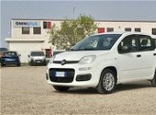Fiat Panda 1.2 Easy Van 4 posti del 2019 usata a Oristano