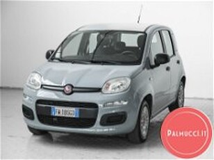 Fiat Panda 1.2 EasyPower Easy del 2019 usata a Prato