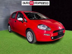 Fiat Punto 1.2 8V 5 porte Street usato