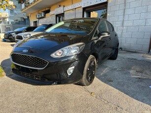 Ford Fiesta 1.1 85 CV 5 porte Titanium usato