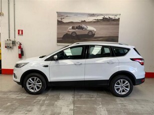 Ford Kuga 2.0 TDCI 150 CV S&S 4WD Powershift Business usato